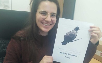 Sýkora, Špaček, Holubová. Dvě stě lidí s ptačím příjmením vyzvalo poslance k zákazu klecových chovů slepic Sýkora, Špaček, Holubová. Dvě stě lidí s ptačím příjmením vyzvalo poslance k zákazu klecových chovů slepic