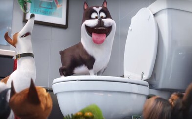 Tajný život zvierat bol taktiež na Super Bowle a odniesol si odtiaľ ďalšie vtipné scény z filmu Tajný život zvierat bol taktiež na Super Bowle a odniesol si odtiaľ ďalšie vtipné scény z filmu