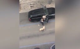 Taxikář vyhodil ze svého auta nevidomou ženu. Vadil mu její vodící pes