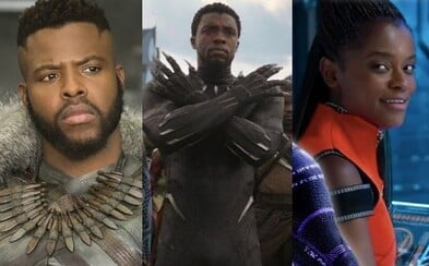 T'Challa nebude Black Pantherem navěky. Pravděpodobných nástupců je hned několik T'Challa nebude Black Pantherem navěky. Pravděpodobných nástupců je hned několik