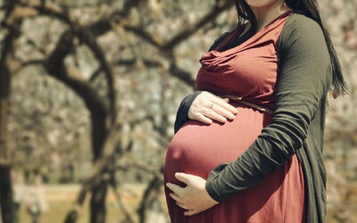 Těhotná Texasanka se bude bránit u soudu. Policie neuznala nenarozené dítě jako druhého pasažéra