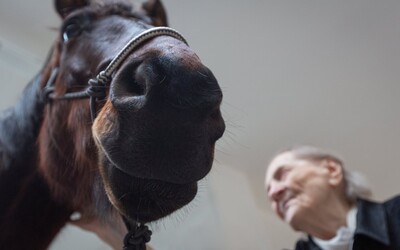 Terapie koněm. Asistenční „jednorožec“ přináší radost tam, kde jí už moc nezbývá 