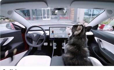 Tesla vytvorila nový mód pre psov, vďaka ktorému môžu oddychovať vo vychladenom aute, aj keď si majitelia odbehnú Tesla vytvorila nový mód pre psov, vďaka ktorému môžu oddychovať vo vychladenom aute, aj keď si majitelia odbehnú