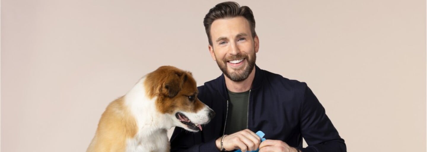 The Actor Chris Evans Is Focusing Strictly On Finding Love. He Wants To Find The Woman Of His Life. 