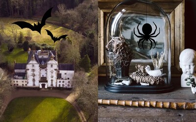 These Are The Most Chilling Airbnb Accommodations. Can You Imagine Spending The Night In One Of Them?