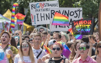Tieto základné práva sú homosexuálom na Slovensku odopierané. Adopcia detí nie je ani zďaleka najväčším problémom Tieto základné práva sú homosexuálom na Slovensku odopierané. Adopcia detí nie je ani zďaleka najväčším problémom