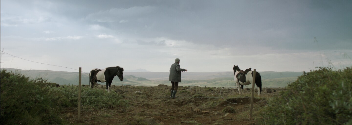 Tip na film: Úchylný pohled na podivně krásný život na Islandu, to je snímek O koních a lidech