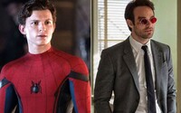 Tom Holland chce natočit společný film Spider-Mana s Daredevilem 
