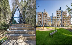 Toto sú najlepšie stavby za rok 2019: Romatická chata ukrytá v lese na Donovaloch či park postavený na cintoríne