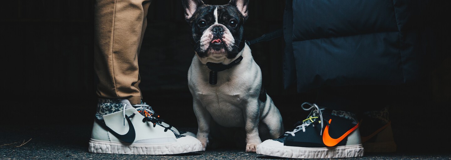 Trávíš hodiny u výběru tenisek? Flexdog ti pomůže najít ty vysněné během několika minut