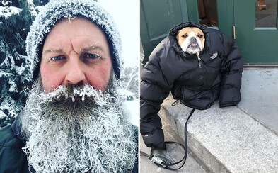Třeskutá zima v Kanadě a USA dosahuje až -50 °C. Místní ale dokáží projevit dávku humoru Třeskutá zima v Kanadě a USA dosahuje až -50 °C. Místní ale dokáží projevit dávku humoru