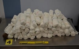 Tři cizinci propašovali do Prahy 142 kilogramů katy jedlé. Jeden policii stále uniká