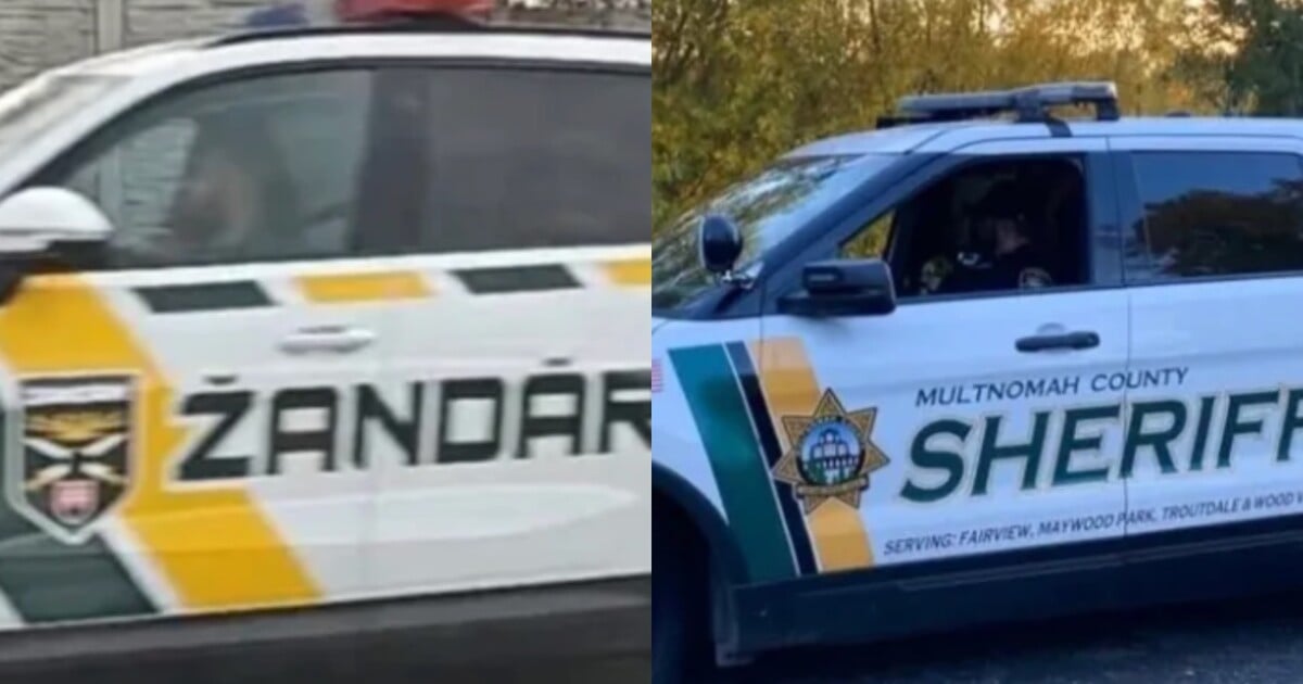 FOTO: Na cesty vyšli autá nových žandárov. Polep za šesťtisíc eur sa podobá na dizajn amerických policajných áut