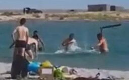 Tuleňa dobili do bezvedomia, aby sa s ním mohli deti odfotiť. Z videa natočeného v Kazachstane sa zastavuje rozum