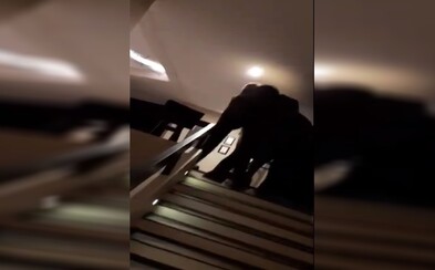 Turistka natočila slona, který se procházel po hotelu na Srí Lance Turistka natočila slona, který se procházel po hotelu na Srí Lance