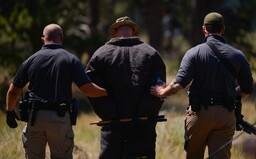 Předstírala, že objednává pizzu, ale volala na policii. Žena tak ochránila matku před násilníkem