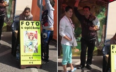 Týranie zvierat v priamom prenose? Na trnavskom jarmoku sa z malej opičky stala továreň na peniaze Týranie zvierat v priamom prenose? Na trnavskom jarmoku sa z malej opičky stala továreň na peniaze