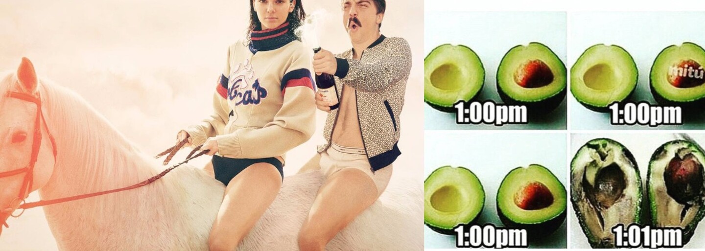 Uťahuje si z Kendall Jenner, označuje sa za jej dvojča a paroduje všetky fotografie. Kirby získal internetovú slávu celkom nečakane