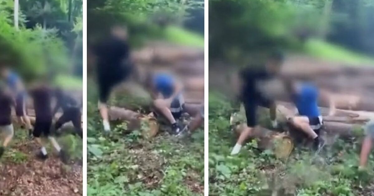 Čeští školáci brutálně zmlátili muže v lese. Měl si psát s jejich 13letou kamarádkou