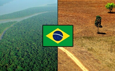 V Amazonskom pralese zrušili rezerváciu o veľkosti Slovenska. Brazília chce dať zelenú ťažbe zlata V Amazonskom pralese zrušili rezerváciu o veľkosti Slovenska. Brazília chce dať zelenú ťažbe zlata