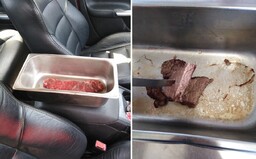 V Austrálii je také teplo, že mužovi v aute upieklo steak. Rekordné teploty dosahujú takmer 50 °C
