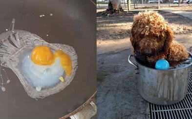 V Austrálii je takové teplo, že se psi zchlazují v hrncích a lidé smaží vajíčka na slunci. Teploty překonávají 79leté rekordy V Austrálii je takové teplo, že se psi zchlazují v hrncích a lidé smaží vajíčka na slunci. Teploty překonávají 79leté rekordy