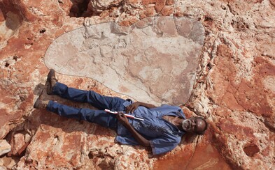 V „austrálskom Jurskom Parku" objavili najväčšiu stopu dinosaura, akú kedy svet videl. O viac než pol metra prekonala aj doterajšieho rekordéra V „austrálskom Jurskom Parku" objavili najväčšiu stopu dinosaura, akú kedy svet videl. O viac než pol metra prekonala aj doterajšieho rekordéra