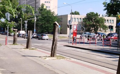 V Bratislave vyrúbali stromy bez povolenia a pobúrený je aj primátor Matúš Vallo. Z centra ubudla vzacná zeleň V Bratislave vyrúbali stromy bez povolenia a pobúrený je aj primátor Matúš Vallo. Z centra ubudla vzacná zeleň