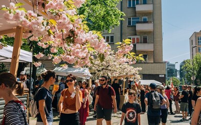 V Bratislave vznikajú nové street foodové uličky a pomaly ožívajú aj trhy v Starej tržnici V Bratislave vznikajú nové street foodové uličky a pomaly ožívajú aj trhy v Starej tržnici