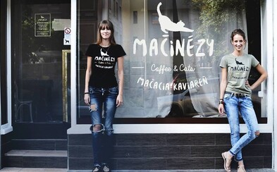 V bratislavskej kaviarni Mačinézy si vychutnáš dobrú kávu a zároveň pomôžeš zvieratkám v núdzi (Rozhovor) V bratislavskej kaviarni Mačinézy si vychutnáš dobrú kávu a zároveň pomôžeš zvieratkám v núdzi (Rozhovor)