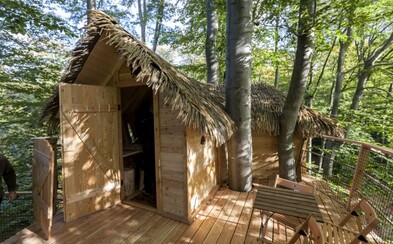 V bratislavských lesích otevřeli první domek na stromě. Noční dobrodružství tě vyjde na sto eur V bratislavských lesích otevřeli první domek na stromě. Noční dobrodružství tě vyjde na sto eur