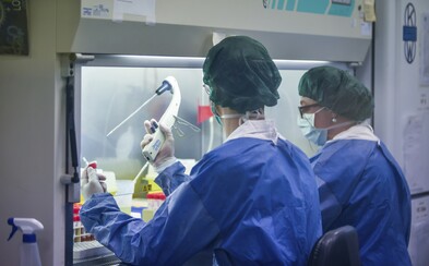 V Česku se včera opět zvýšil počet provedených testů, udělalo se jich už skoro 270 000 V Česku se včera opět zvýšil počet provedených testů, udělalo se jich už skoro 270 000