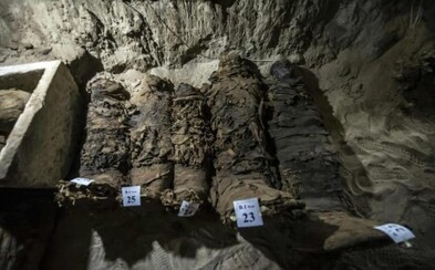 V Egypte objavili archeológovia 17 múmií. Sú perfektne zachované a našli sa aj zvieracie rakvy V Egypte objavili archeológovia 17 múmií. Sú perfektne zachované a našli sa aj zvieracie rakvy