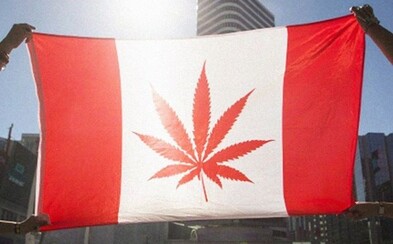 V Kanade dnes zlegalizovali rekreačné užívanie marihuany V Kanade dnes zlegalizovali rekreačné užívanie marihuany