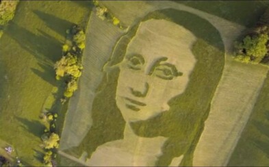 V Královéhradeckém kraji vznikl unikátní portrét Mona Lisy. Má 250x200 metrů a je vysekaný do trávy V Královéhradeckém kraji vznikl unikátní portrét Mona Lisy. Má 250x200 metrů a je vysekaný do trávy