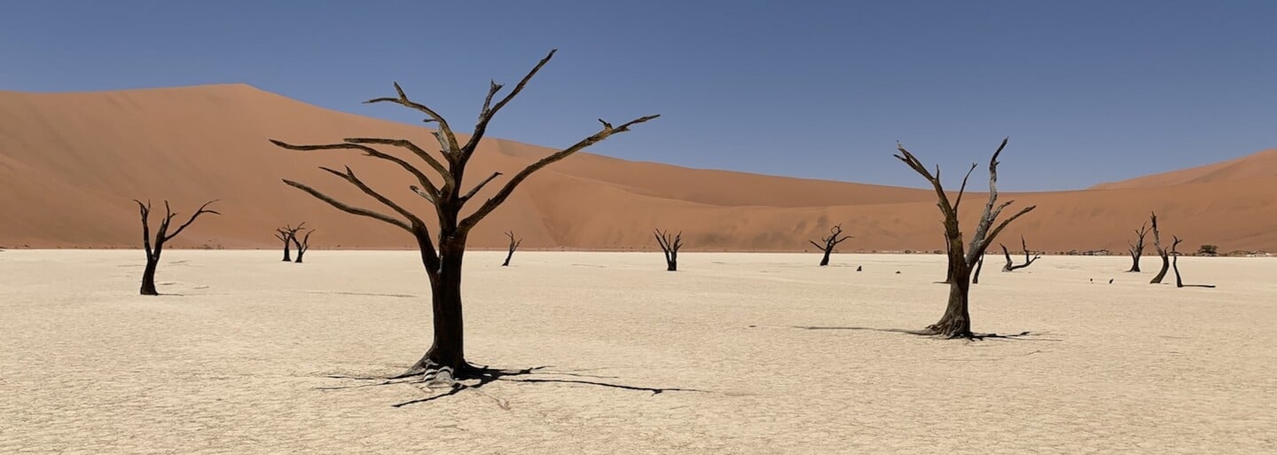 V Namíbii môžete ísť safari úplne sami bez sprievodcov. Ako sa dá do tejto africkej krajiny dostať?