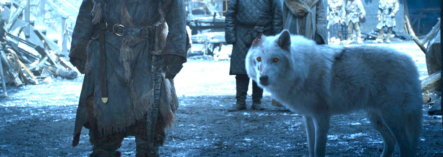 V prequeli Game of Thrones uvidíme Starkovcov, zlovlkov aj White Walkers