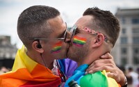 V Severním Irsku uzákonili manželství homosexuálů