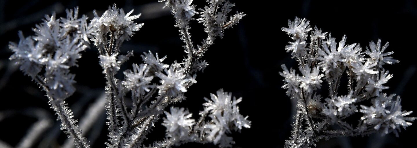 V těchto 8 krajích platí výstraha před silným mrazem. Rtutě teploměrů budou klesat až na –12 °C