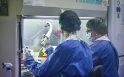 V úterý u nás přibylo 82 nových pacientů s koronavirem, začalo se opět více testovat