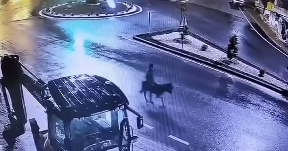 VIDEO: GTA po turecku. Muž vykradl zlatnictví, sedl na osla a ujel něm