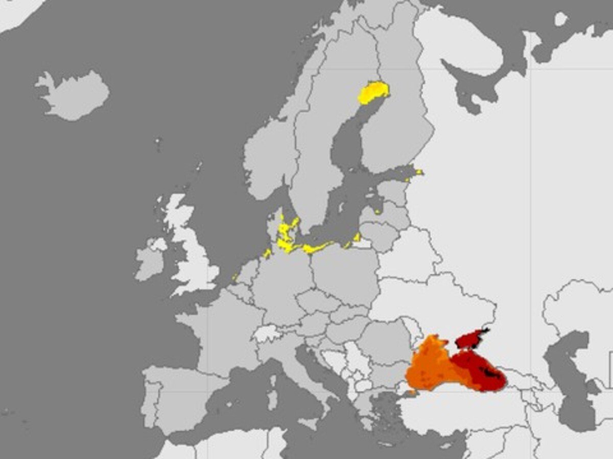 mapa, vibrio