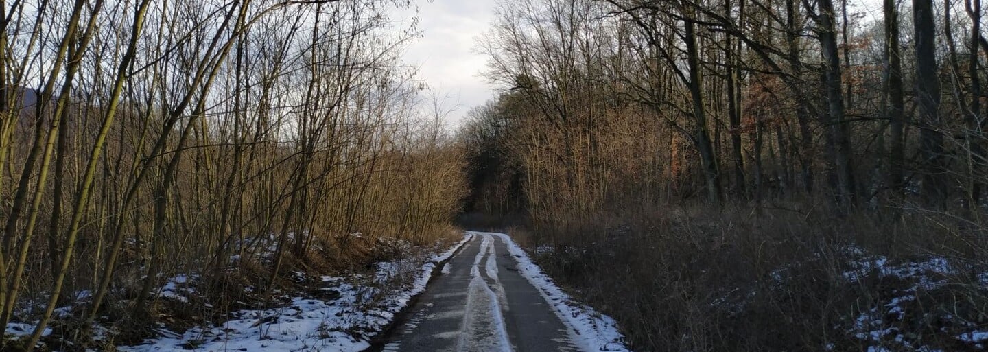 Vďaka Trhline sa o tajomné pohorie Tribeč zaujíma toľko Slovákov, ako ešte nikdy predtým. Čo sa tam vlastne deje?