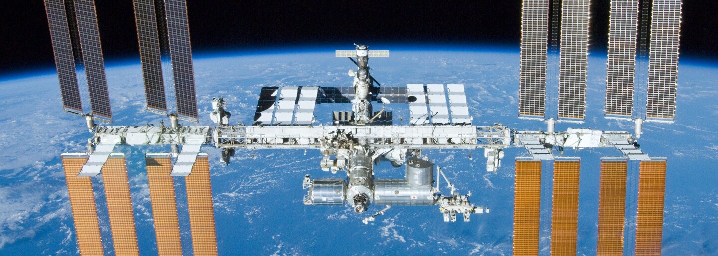 Ve vesmíru vykvetla první květina! Astronauti se podělili o historický moment z paluby stanice