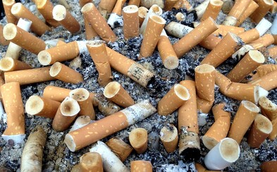 Vedci tvrdia, že cigarety s filtrami by sa mali úplne zakázať. Fajčiarom nepomáhajú a ničia životné prostredie Vedci tvrdia, že cigarety s filtrami by sa mali úplne zakázať. Fajčiarom nepomáhajú a ničia životné prostredie