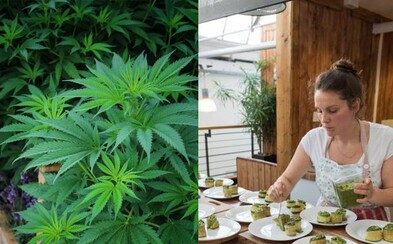 Vegánska reštaurácia začína ponúkať marihuanové pokrmy. Chce vyvrátiť mýty o využití zelenej rastliny Vegánska reštaurácia začína ponúkať marihuanové pokrmy. Chce vyvrátiť mýty o využití zelenej rastliny