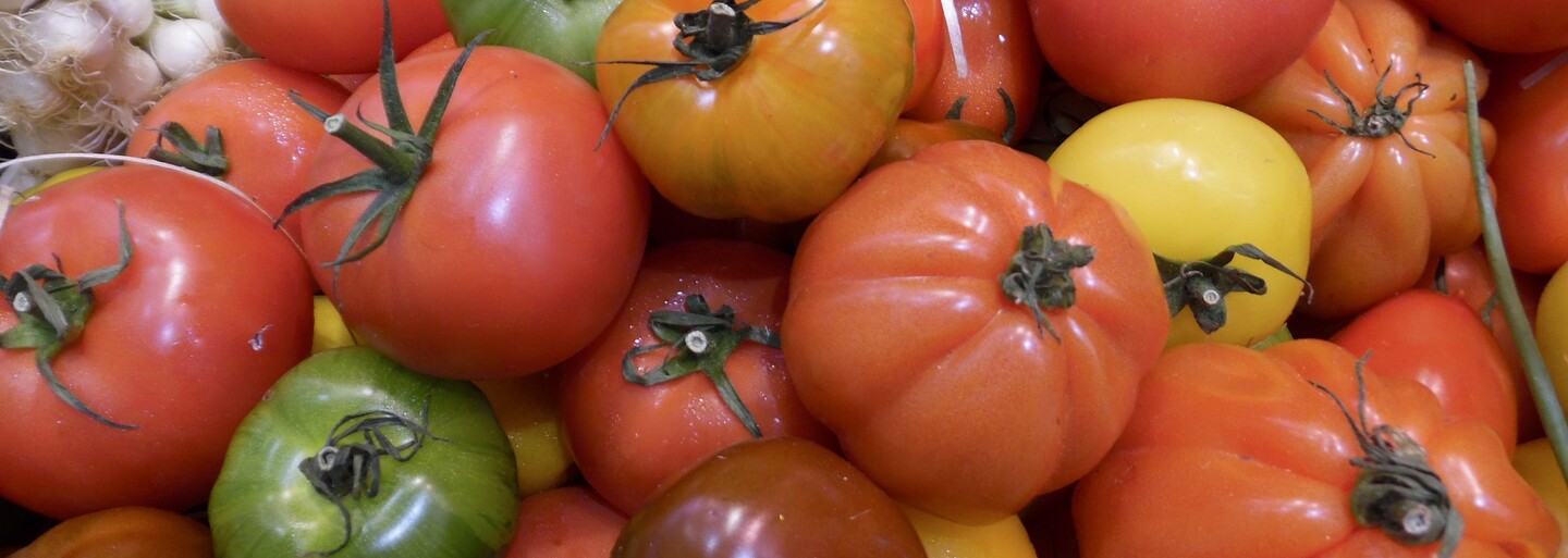 Velké srovnání českých online supermarketů: U koho se vyplatí nakupovat, jak řeší problémy s nákupem a kde mají největší výběr potravin?