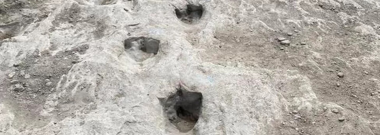VIDEO: Dinosauří stopy staré více než 110 milionů let byly objeveny ve vyschlé řece v Texasu