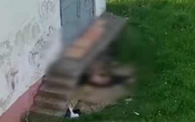 VIDEO: Dôchodca sa pri bytovke v Hlohovci sexuálne ukájal na sučke vlčiaka. Za verejné pohoršenie mu hrozia 3 roky