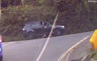 VIDEO: Muž „venčil“ svojho psa počas šoférovania. Vôdzku držal cez otvorené okno